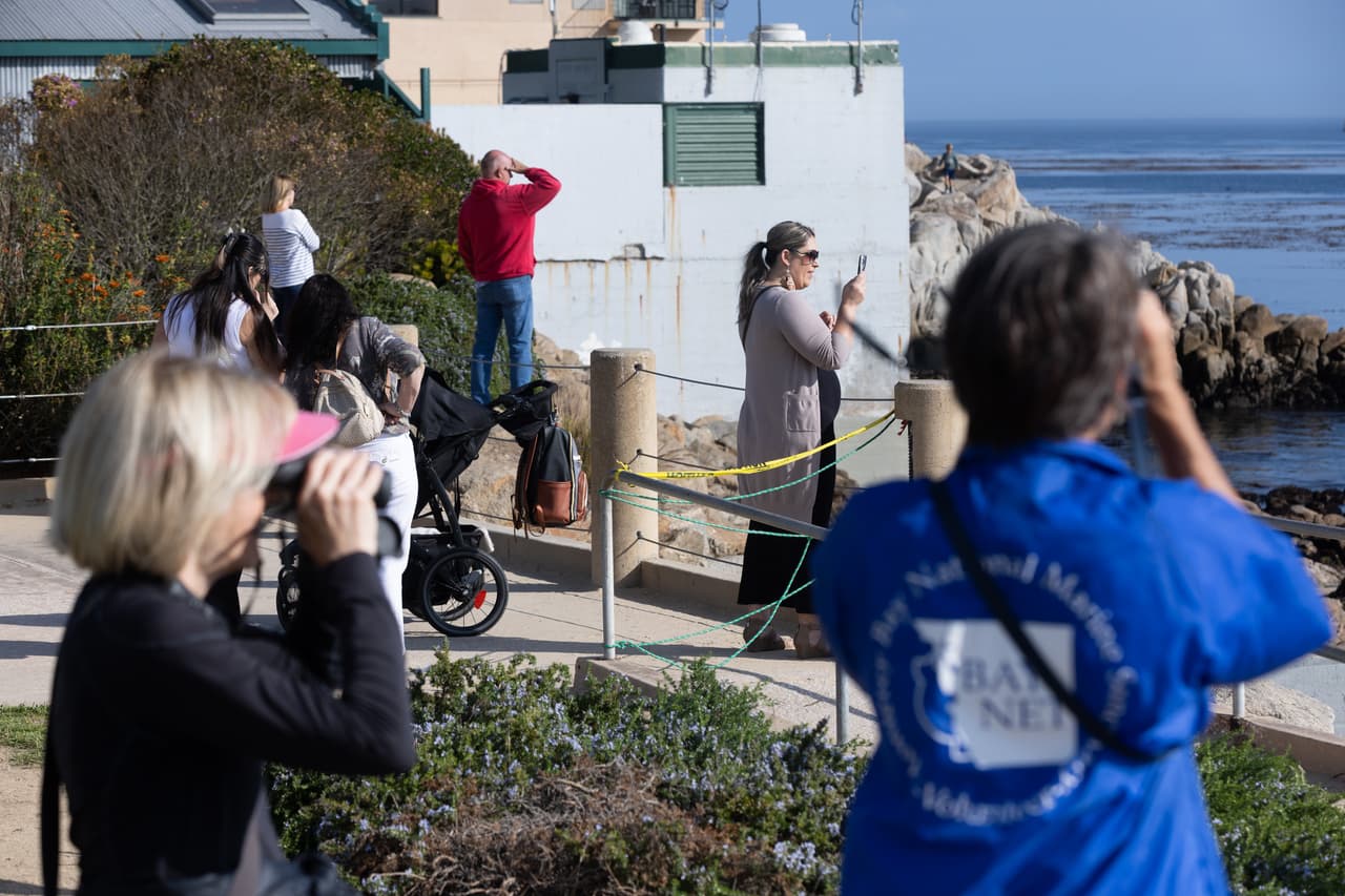 Las autoridades colocaron cinta para bloquear el área, sin embargo, muchas personas se han dado cita para ver este espectáculo de la naturaleza.