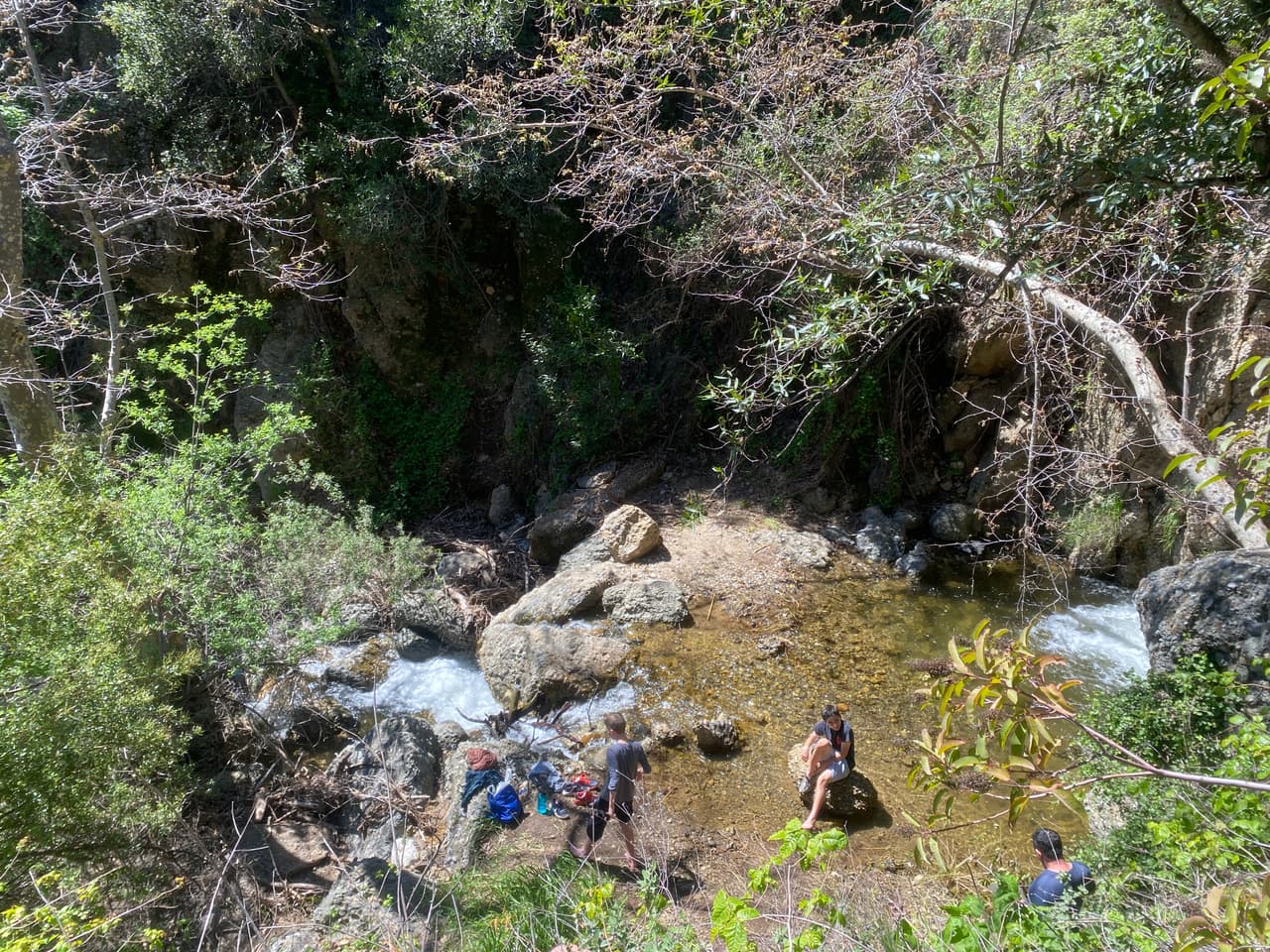 Es que Temescal Canyon tiene una nueva cara. El espectacular paseo de montaña en Pacific Palisades está en su mejor momento.