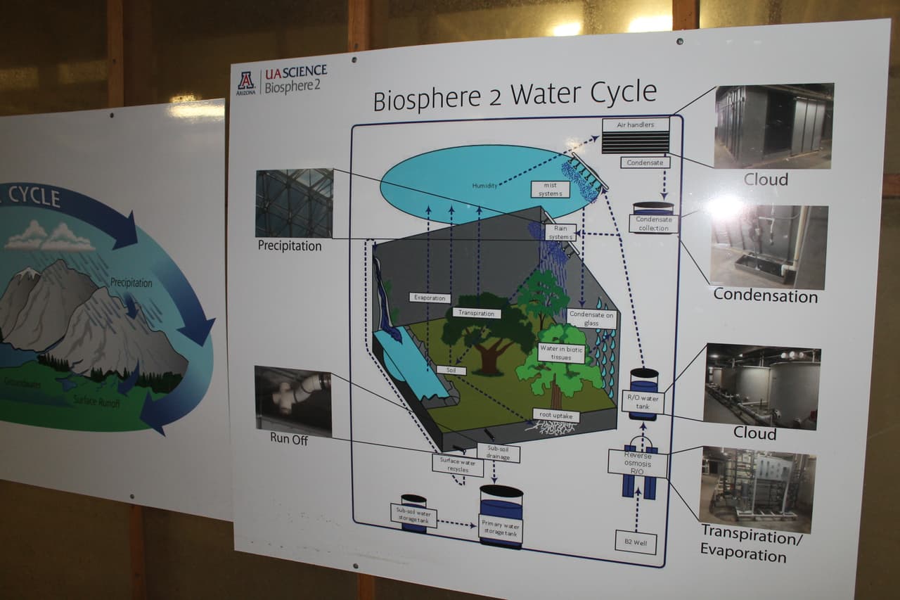 El ciclo del agua dentro del laboratorio del ecosistema explicado en gráficas.