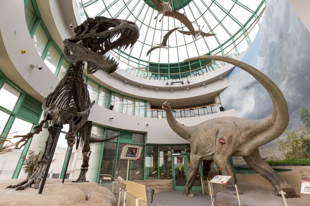 <b><a href="https://www.visitraleigh.com/things-to-do/museums/" target="_blank">3. Disfruta de atracciones locales</a></b>. Museos, parques y sitios históricos -por mencionar solo algunos- hacen parte de la variedad de atracciones locales que podrás explorar junto a tu pareja en el área de Raleigh.