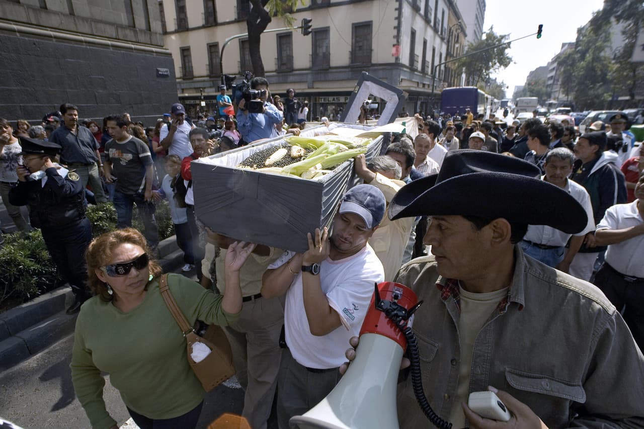 <b>La muerte del maíz.</b> Agricultores mexicanos protestan otra vez en la Ciudad de México en enero de 2008. Esta vez directamente contra la eliminación de impuestos para el maíz, frijoles y azúcar entre México, Estados Unidos y Canadá, como parte de los ajustes del Tratado de Libre Comercio.