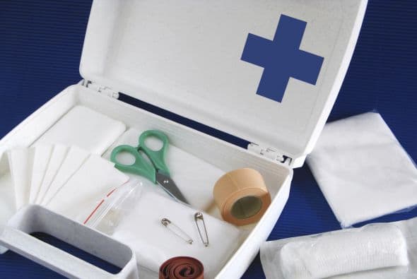 <b>Para prevenir estas picaduras,</b> el doctor recomienda lo siguiente: “Se puede poner repelente, pero lo más importante es caminar con pantalones y camisas largas y revisar después de una caminata o camping que no tenga una garrapata pegada antes de dormirse, para evitar problemas”.
<br>