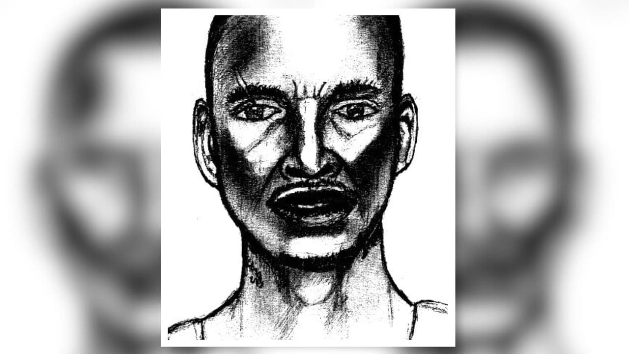 Revelan boceto del sospechoso de secuestrar a una niña y luego abusarla sexualmente en Houston 