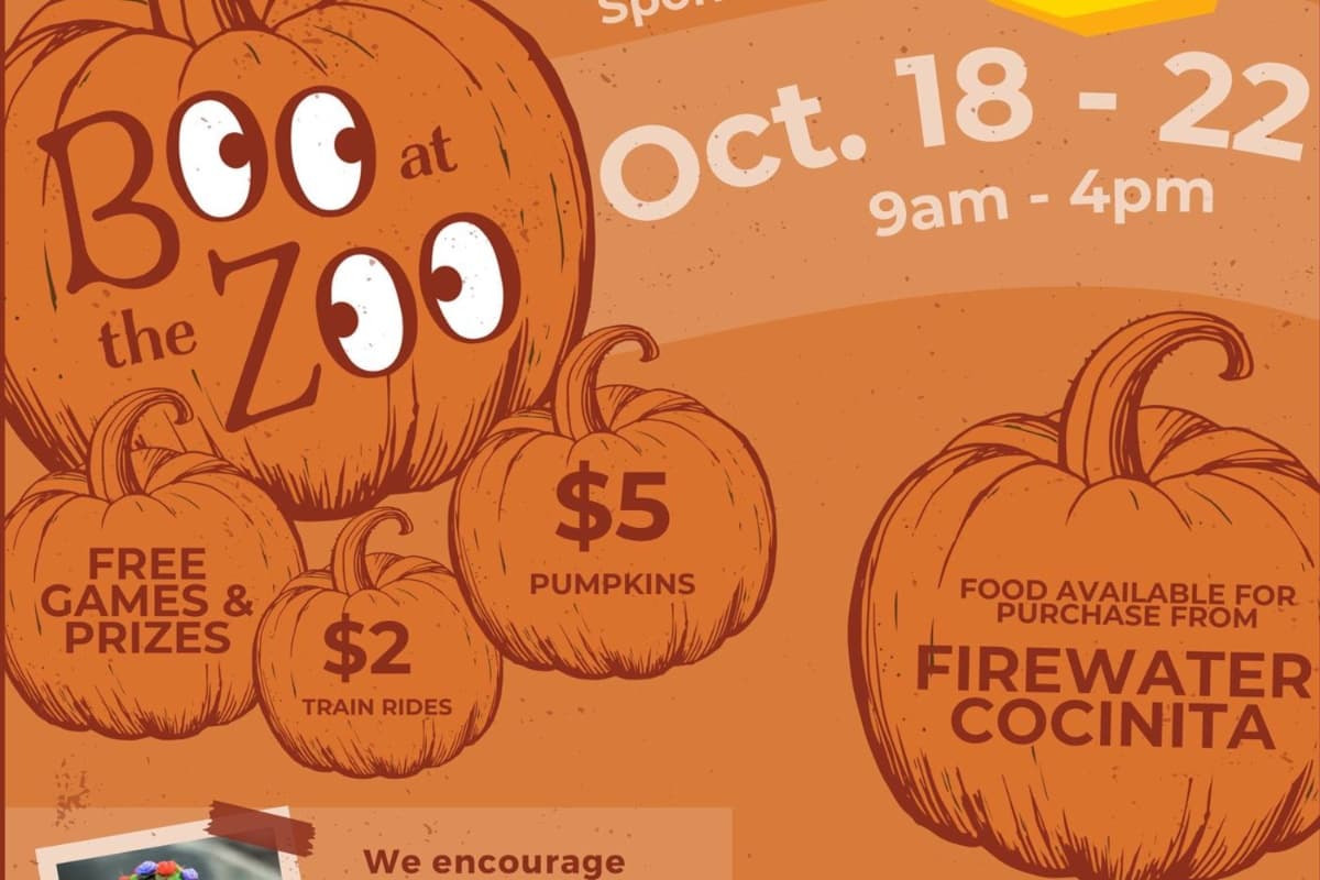 Boo en el zoológico de CALM, invita a toda la familia a su evento del 18 al 22 de octubre. Para comprar sus entradas deben hacerlo a través del sitio web de CALM Zoo. A partir de las 5:30 de la tarde podrán asisitr a esta espeluznante fiesta.