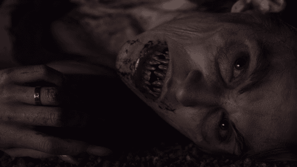 Swann tratará de llegar al fondo del asunto y descubrir los misterios de esta condición, a la par que deberá detener a Fayne, pues él se prepara para convertirse en el próximo líder de los vampiros.