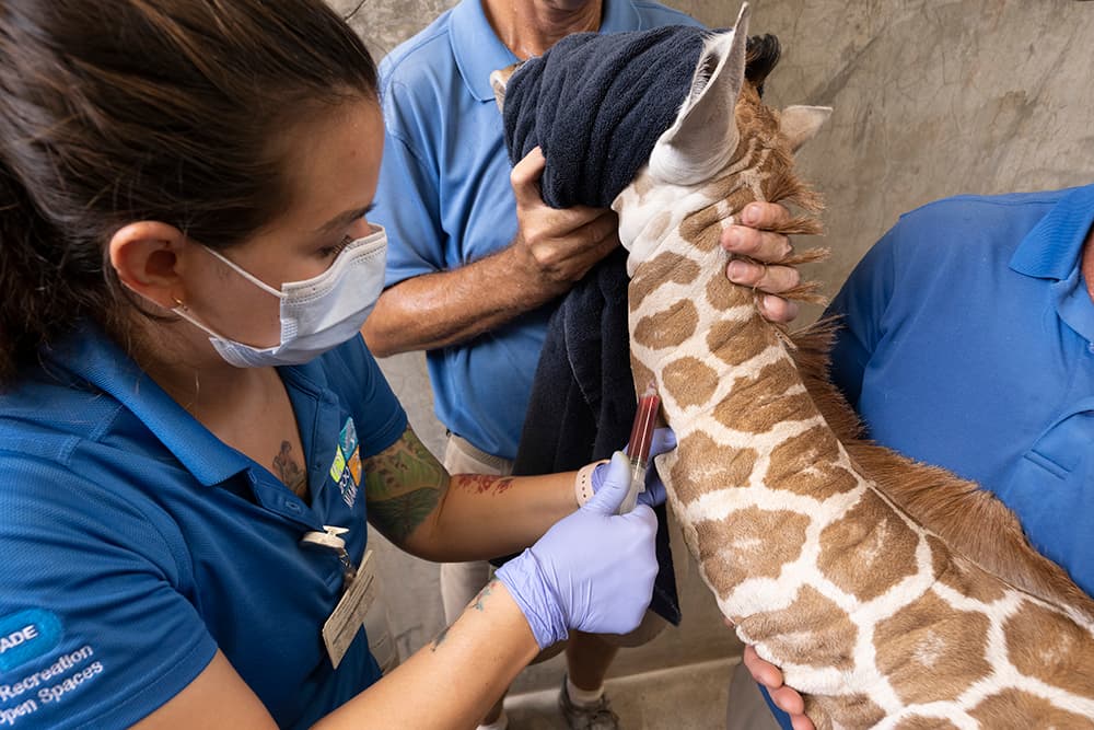 ¡Bienvenida al mundo!
<br>