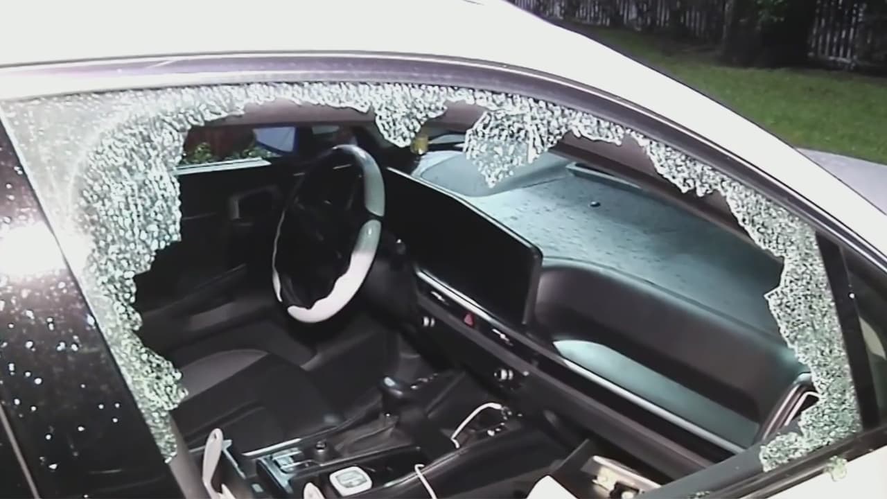 Al menos 20 vehículos son saqueados y vandalizados en un condominio en el noroeste de Miami-Dade