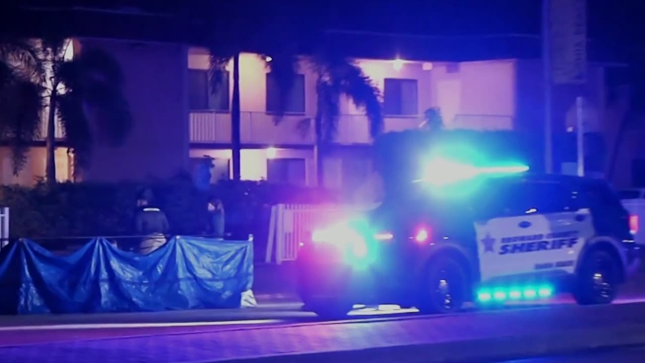 Arrestan a joven hispana por atropellar a un peatón y huir en Dania Beach