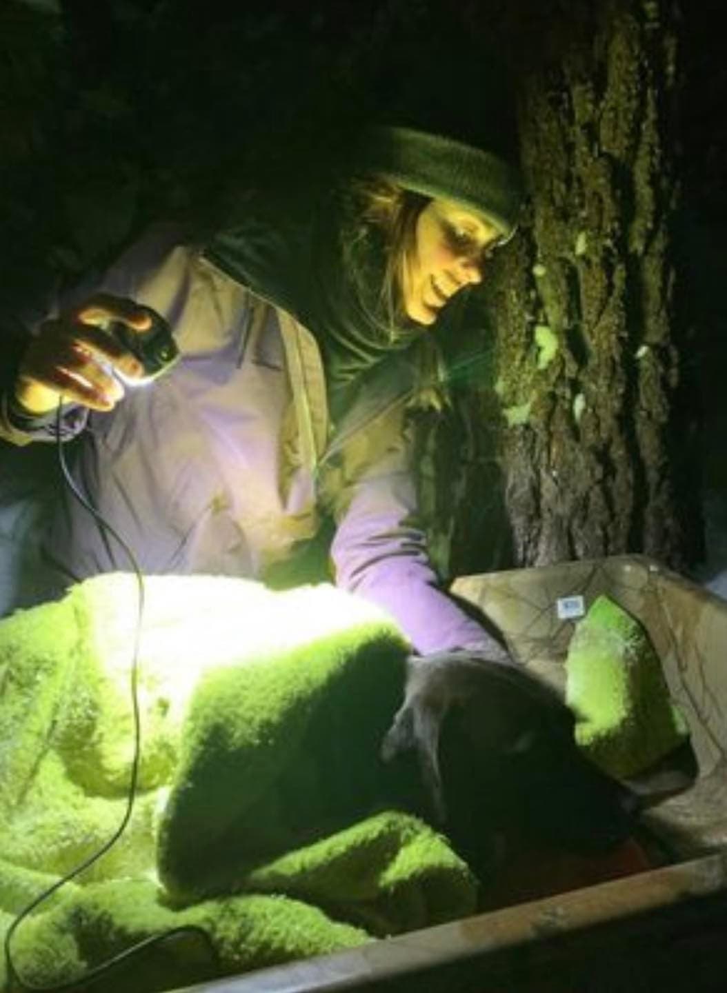 Y es que después del rescate, lo llevaron al veterinario, en donde consiguieron su microchip y pudieron contactar a su dueño.