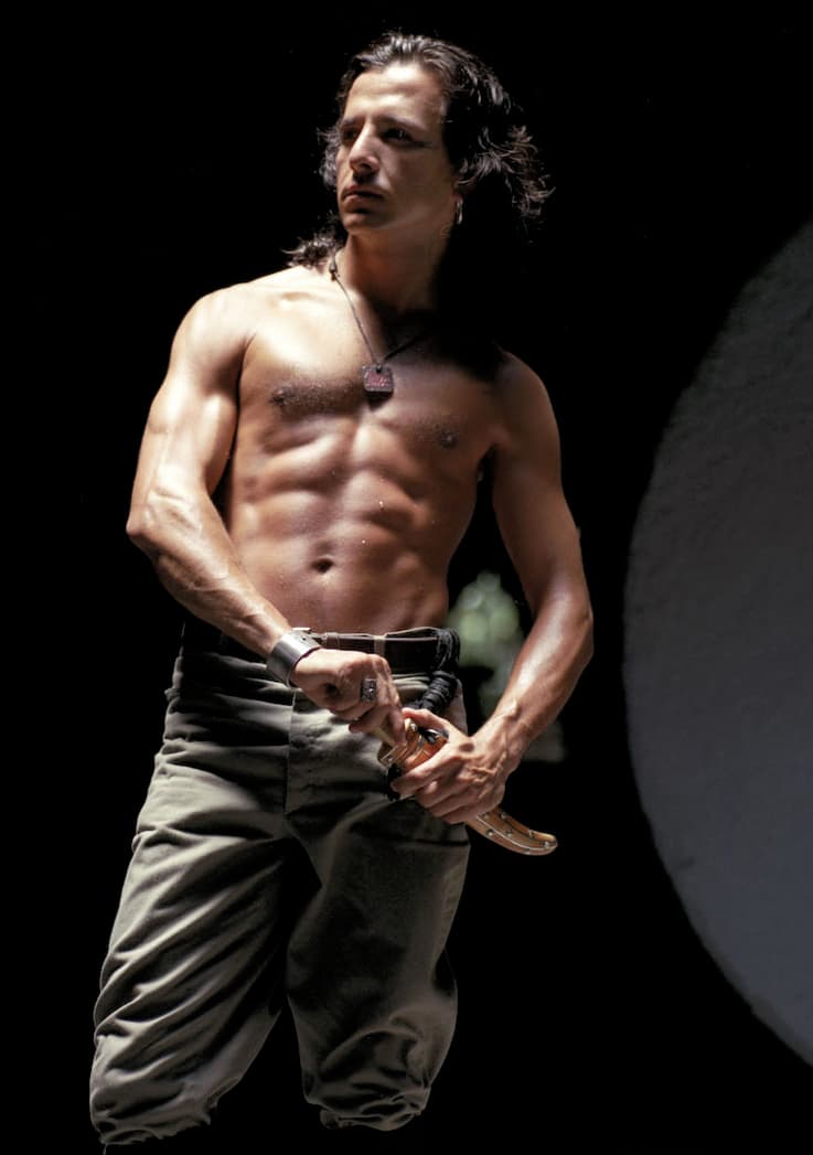 En el 2009 protagonizó 
<b><a href="http://www.univision.com/programas/novelas/telenovelas-originales-vs-remakes-cuales-son-mejores-fotos">‘Corazón salvaje’</a></b> donde dio vida al icónico ‘Juan del Diablo’, personaje que el público recuerda con gran cariño porque Eduardo Palomo lo interpretó con gran éxito en 1993.