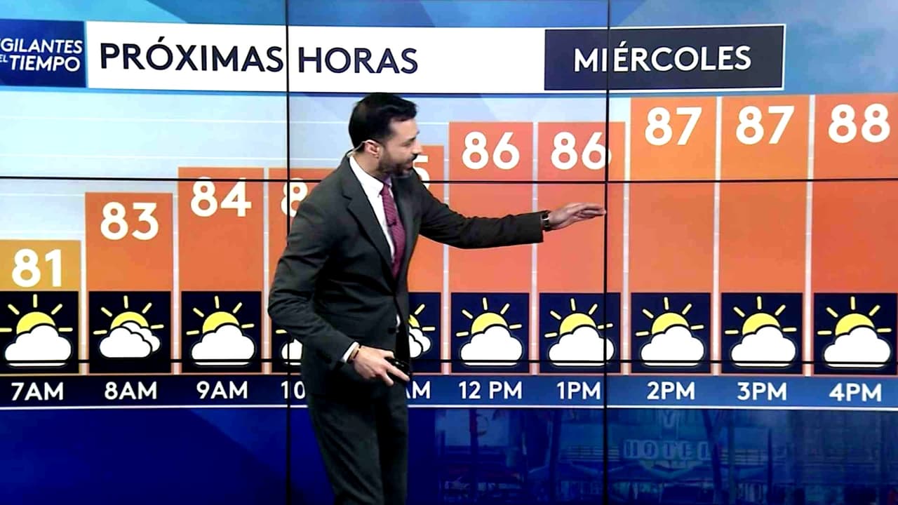 Pronóstico del tiempo hoy en Miami: Día caluroso con nubosidad; el termómetro alcanzará 88 °F