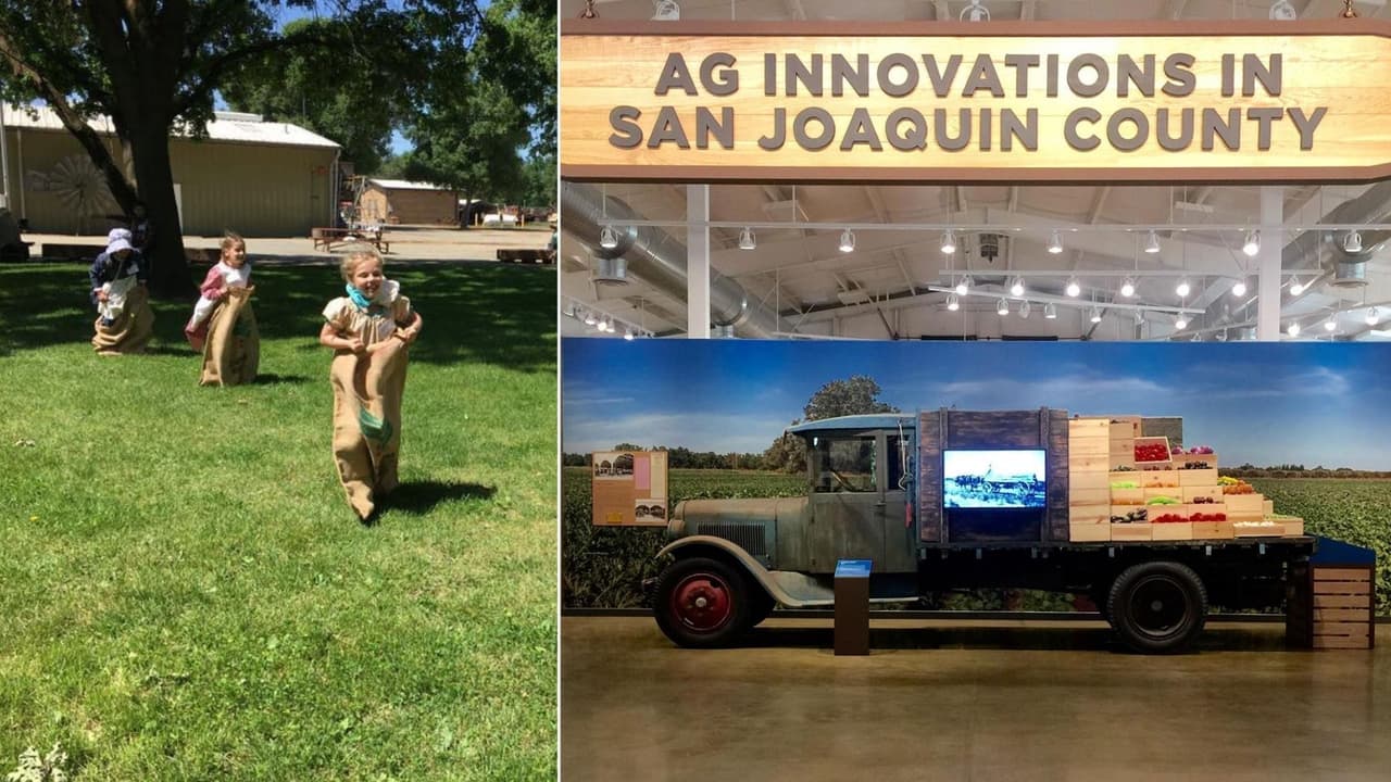 El 
<b>Museo Histórico del Condado de San Joaquín</b> muestra las diversas historias del 
<b>condado de San Joaquín</b>, el corazón de California.
<br>
<br>Con muestras históricas desde los indígenas Miwok y Yokuts, hasta el desarrollo de la agricultura moderna y hasta Charles Weber, el fundador de 
<b>Stockton</b> y el primer agricultor de la zona. Ubicado en el 
<b>Parque Regional Micke Grove</b>, es perfecto para las familias, los picnics y paseos al aire libre. 
<br>
<br>La entrada tiene un costo de $2 a $5 dólares y abre de jueves a domingo desde las 10 a.m. hasta las 5 p.m.
<br>
<br>
<b>Dirección: </b>
<a href="https://www.google.com/maps/place/San+Joaquin+County+Historical+Museum/@38.0822348,-121.4099104,12z/data=!4m13!1m6!3m5!1s0x80900b2820f329a3:0x2689d5079e7075f!2sSan+Joaquin+County+Historical+Museum!8m2!3d38.0822101!4d-121.2698221!3m5!1s0x80900b2820f329a3:0x2689d5079e7075f!8m2!3d38.0822101!4d-121.2698221!15sCiRTYW4gSm9hcXVpbiBDb3VudHkgSGlzdG9yaWNhbCBNdXNldW1aJiIkc2FuIGpvYXF1aW4gY291bnR5IGhpc3RvcmljYWwgbXVzZXVtkgEGbXVzZXVt4AEA" target="_blank">11793 Micke Grove Rd, Lodi, CA 95240 </a>