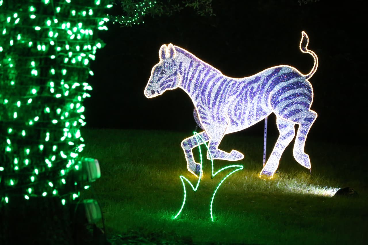 Entre las decoraciones se destacan las figuras de animales y sus hábitats.