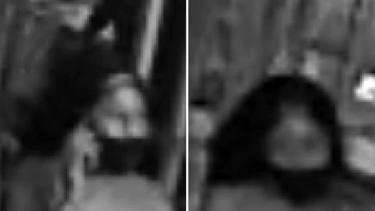 Trabajadora sexual ofreció servicios a víctima antes de robarle reloj de $13,000