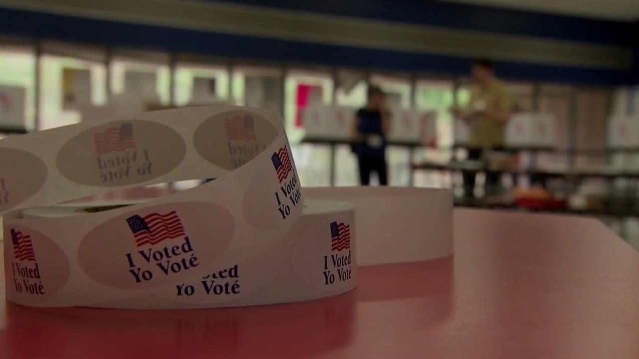 Autoridades explican por qué el conteo electoral tarda más en California