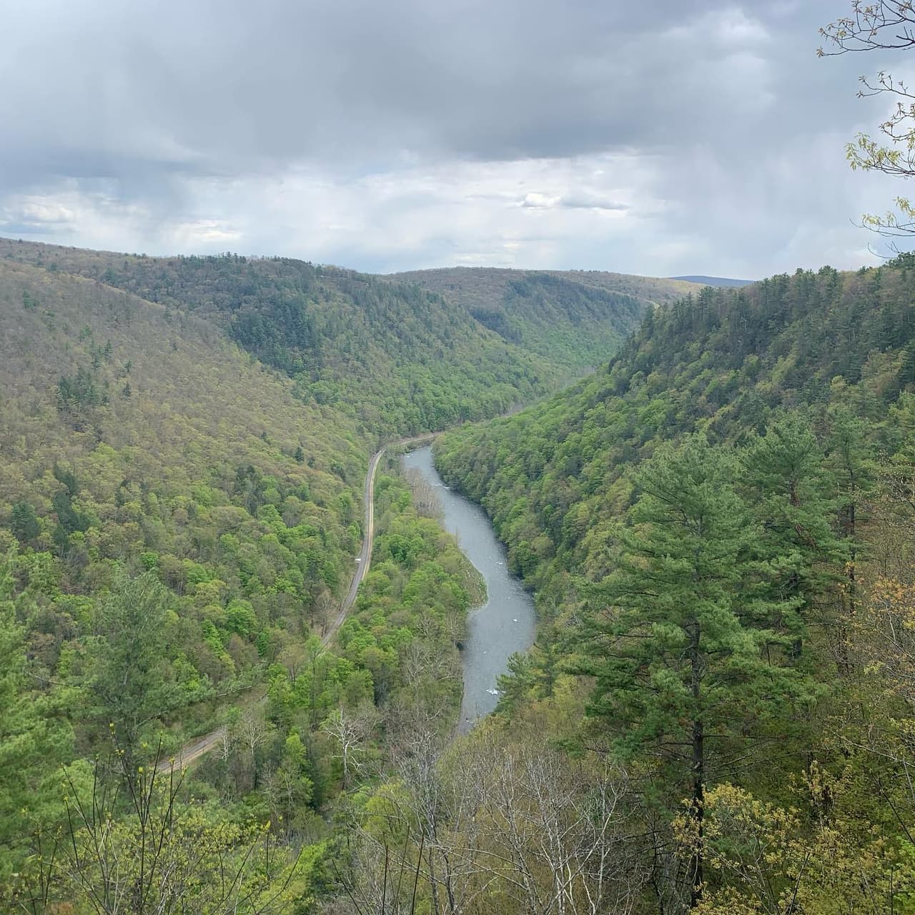 <b><a href="https://www.dcnr.pa.gov/StateParks/FindAPark/ColtonPointStatePark">Colton Point State Park</a> and <a href="https://www.dcnr.pa.gov/StateParks/FindAPark/LeonardHarrisonStatePark">Leonard Harrison State Park</a></b>. El Gran Cañón de Pensilvania, también conocido como Pine Creek Gorge, está ubicado entre el Parque Estatal Colton Point y el Parque Estatal Leonard Harrison. Los parques tienen muchas vistas escénicas de vistas espectaculares del cañón tallado por el agua de la inundación glacial de 800 pies de profundidad.