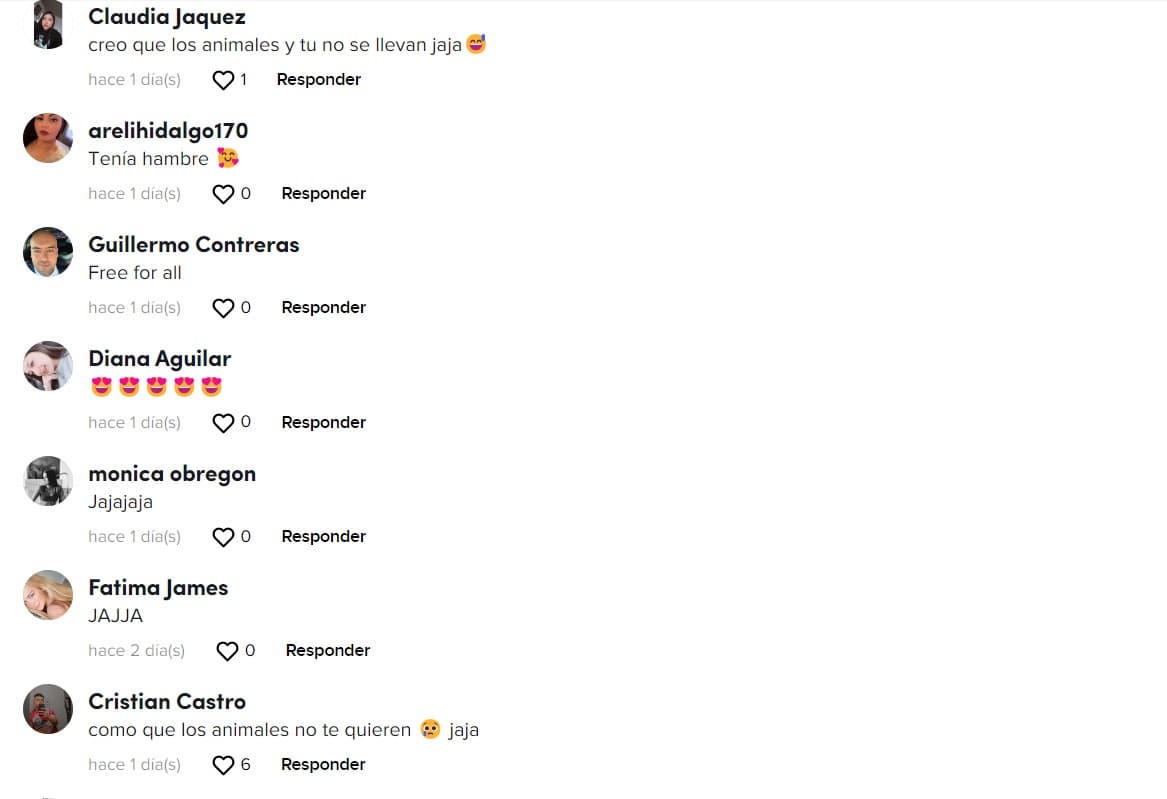 Reacción de usuarios de TikTok por video del elefante
