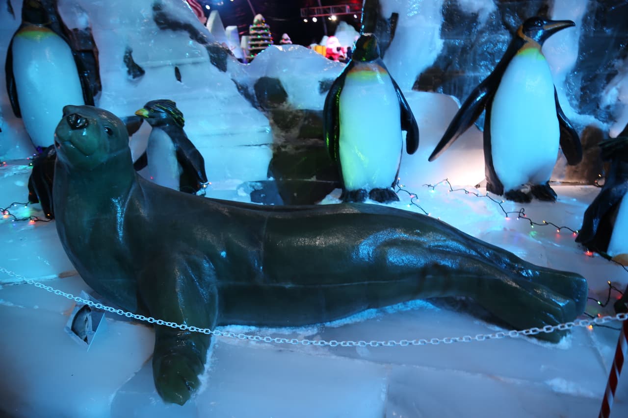 Una foca cangrejera y pingüinos emperador que habitan en la Antártida.