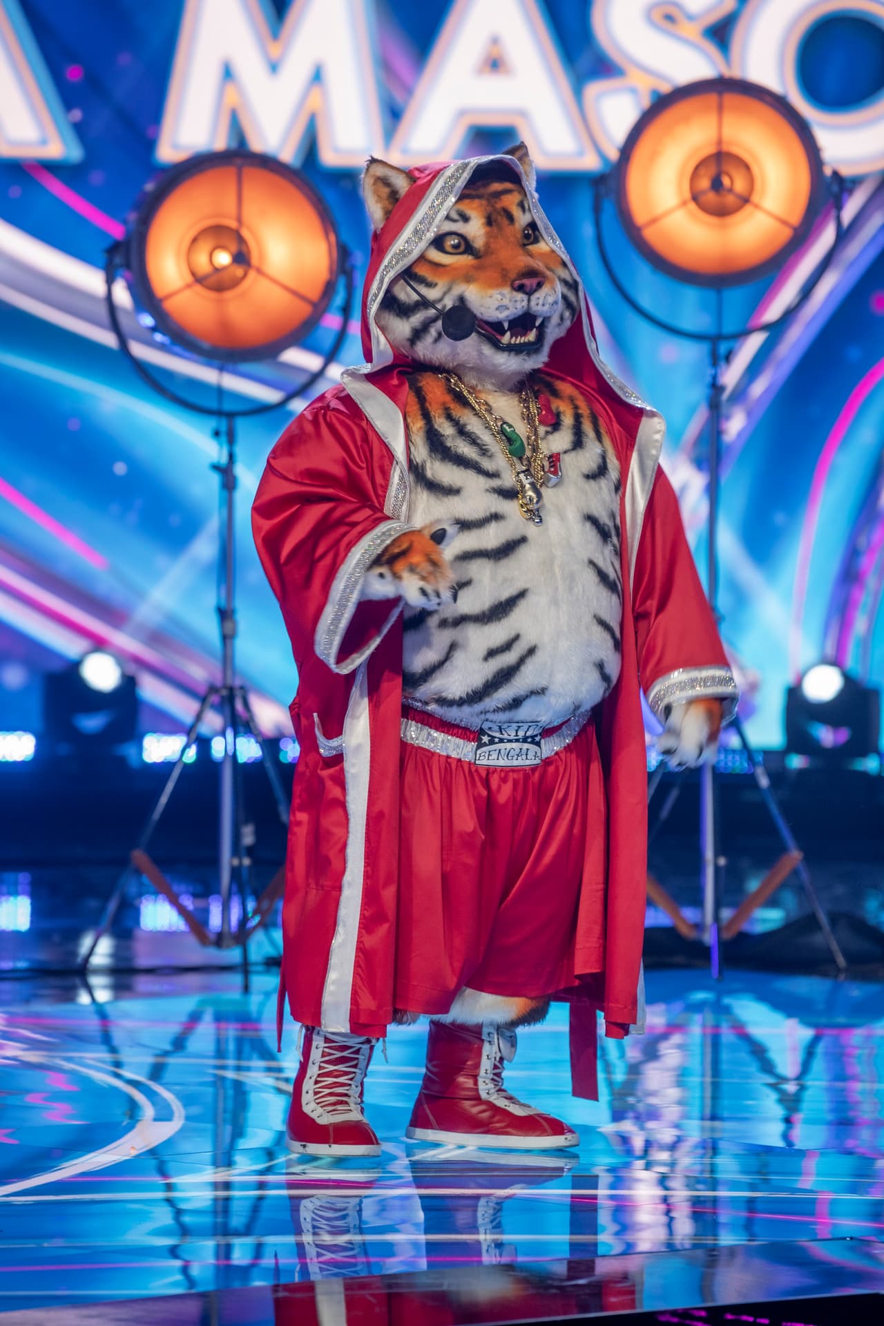 Carlos Rivera creyó que detrás de la máscara está Julio Ramírez de la agrupación Reik, Juanpa Zurita pensó en Pablo Preciado de Matisse, Yuri consideró que no es alguien tan ligado con la música y apostó por Arturo Carmona, mientras que Galilea Montijo dijo que su identidad es Carin León.