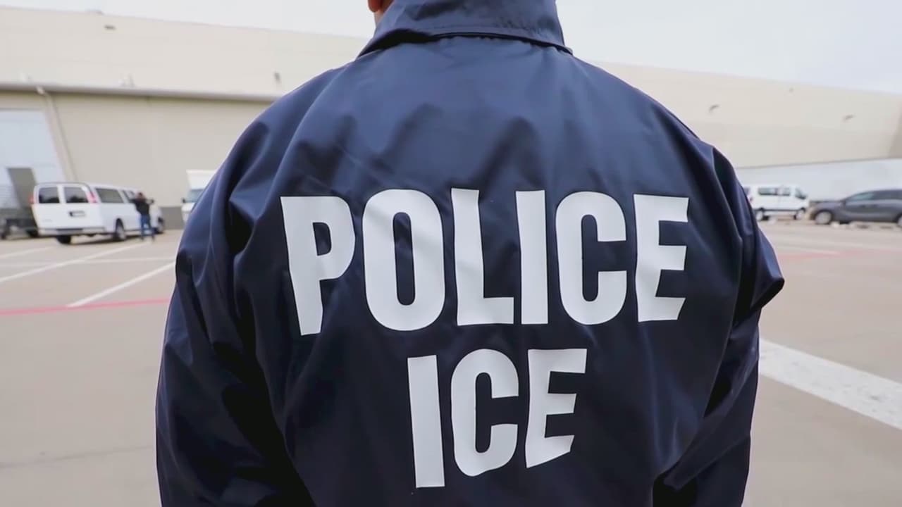 Agencias policiales de Florida reciben más fondos para reforzar operativos migratorios: 5 condados fueron beneficiados