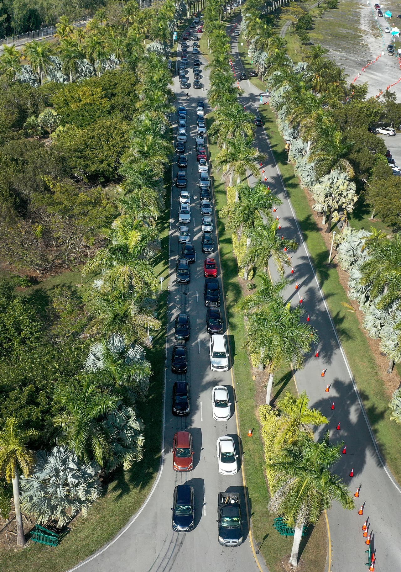 Debido al creciente número de casos de covid-19, 
<a href="https://www.univision.com/local/miami-wltv/edicion-digital-miami/junta-escolar-de-miami-dade-estudia-la-posibilidad-de-nuevos-protocolos-ante-el-aumento-de-casos-de-coronavirus-video" target="_blank">la junta escolar de Miami-Dade analiza nuevos protocolos en las escuelas. </a>
<br>