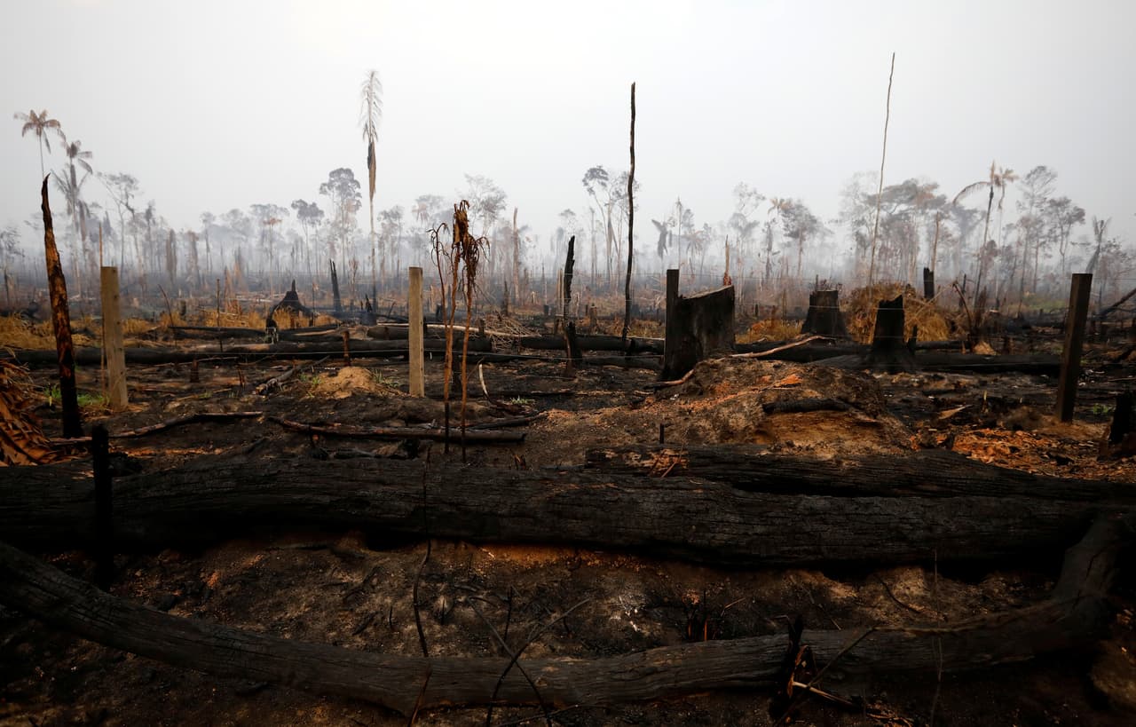 Se ve un tramo de la selva amazónica después de un incendio en Boca do Acre, estado de Amazonas, Brasil, 24 de agosto de 2019.