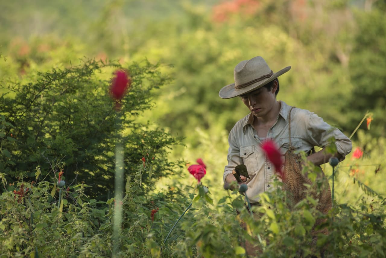 <b><a href="http://www.univision.com/series/el-chapo/marco-de-la-o-es-joaquin-el-chapo-guzman-en-el-chapo" target="_blank">Joaquín Guzmán Loera</a></b> creció en la pobreza. En su adolescencia comenzó a cultivar amapola para ayudar en la economía del hogar y su mayor sueño era ser muy poderoso y respetado.