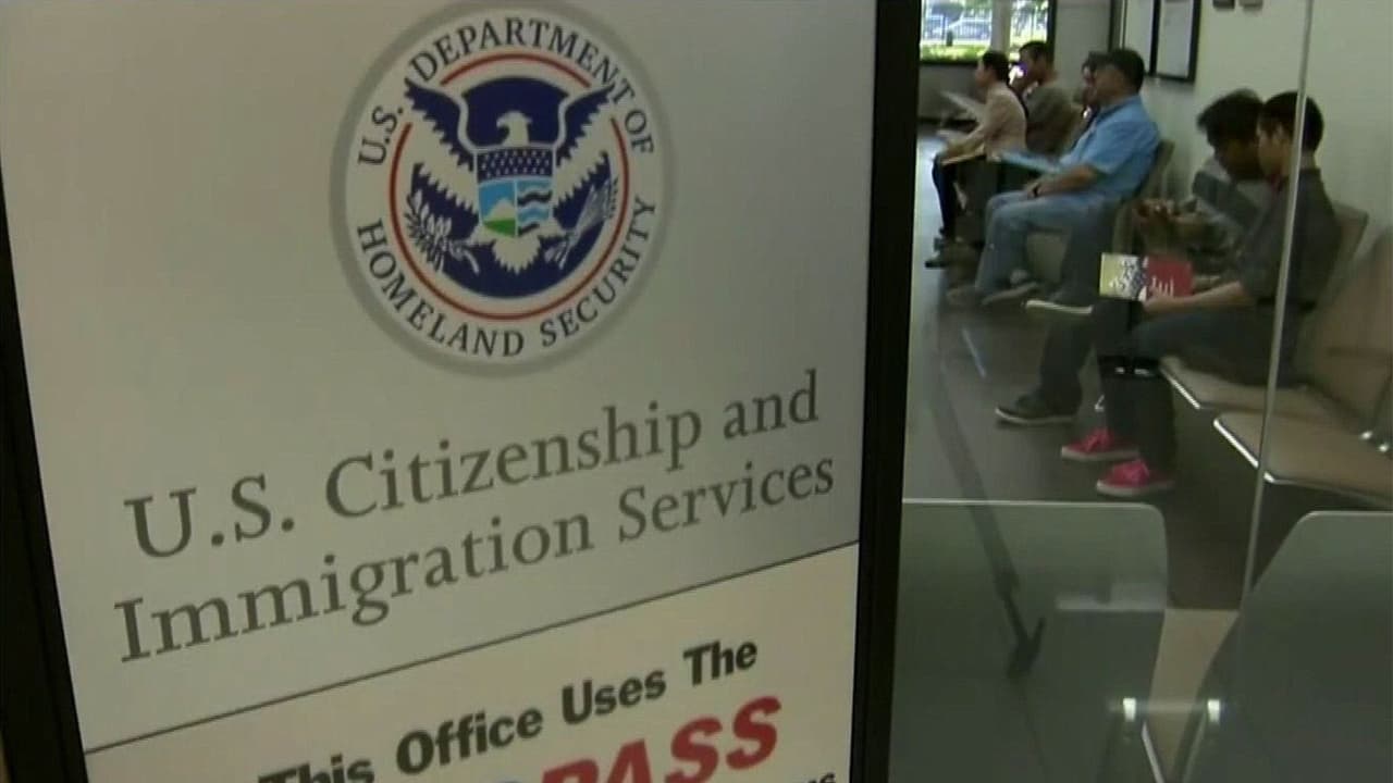 ¿Qué podrían hacer los inmigrantes si avanza la medida de Trump para retirar permisos de trabajo? Abogada explica