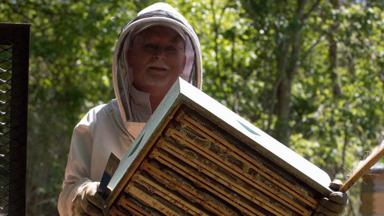 Sobre 
<b>el origen del color existen varias teorías</b>: las bayas de la región, las uvas o la flor del kudzu. Dees descarta las uvas porque generalmente están verdes cuando aparece esta miel, por lo que no cree que las abejas las estén recolectando.