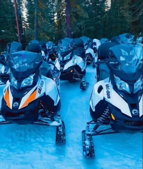 Esta motonieve está propulsada por un motor ROTAX de cuatro tiempos, 600cc y dos cilindros, refrigerado por líquido.