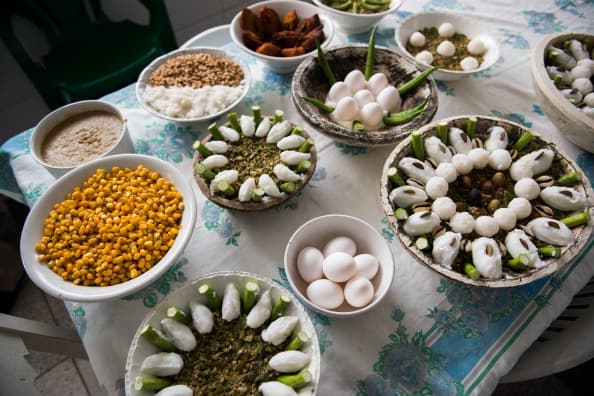 En la ofrenda a Shangó, se regala amalá hecha a base de harina de maíz, leche y quimbombó, plátanos verdes, otí, plátano indio, vino tinto, maíz tostado, cebada, alpiste, etc. Se le ofrecen carneros, gallos, codornices, jicotea (tortuga de río), gallina de guinea, palomas, etc.