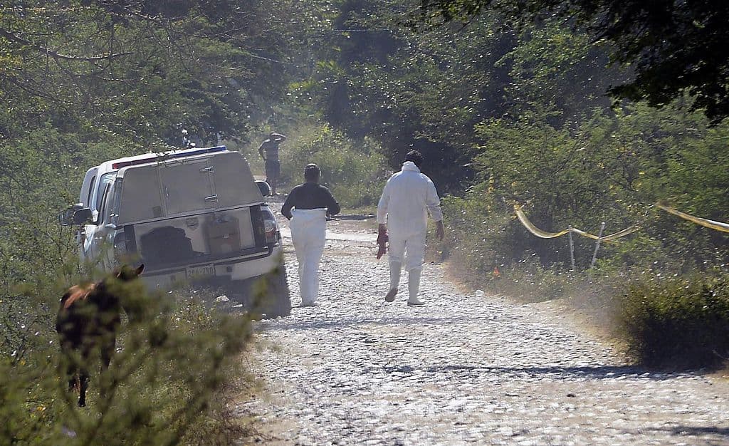 Encuentran decenas de restos humanos en dos predios en Iguala, México