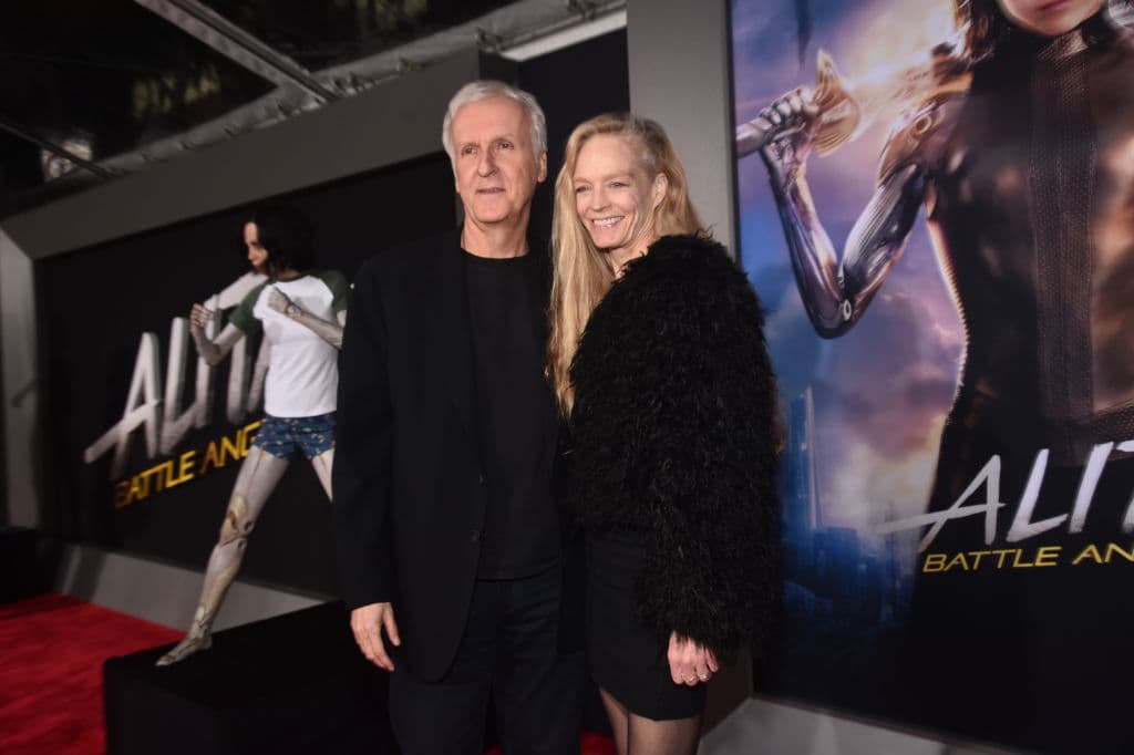 <b>James Cameron</b> no solo es un genio para dirigir películas de cine, también para conquistar el corazón de las mujeres. El cineasta canadiense se ha casado en cinco oportunidades: Sharon Williams (1978-1984), Gale Anne Hurd (1985-1989), Kathryn Bigelow (1989-1991), Linda Hamilton (1997-1999) y 
<b>Suzy Amis</b> (2000).
