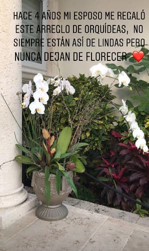 Se trata de este bello arreglo de orquídeas, una flor que representa la eternidad y un amor que perdura como el de Ana Patricia y Luis, quien conforman una bella familia.