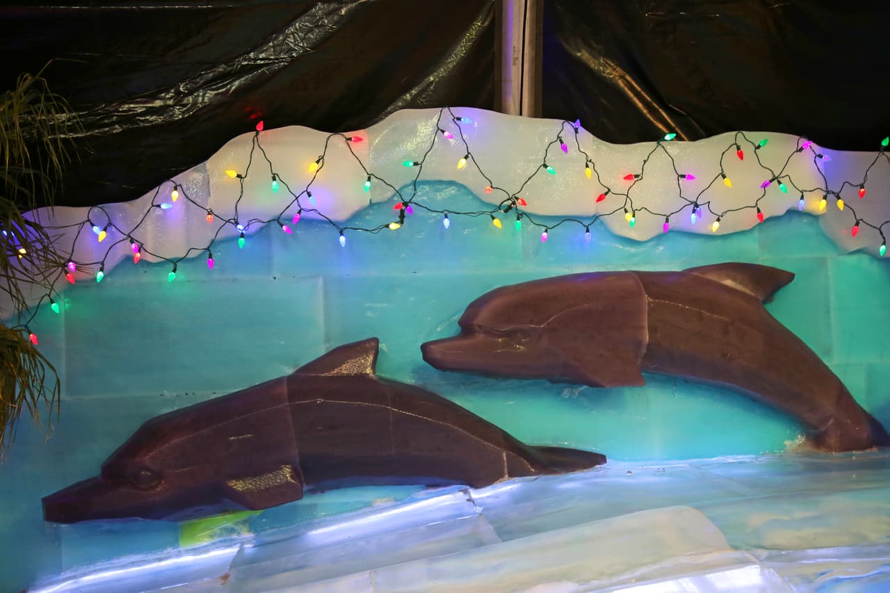 El recorrido también destaca delfines de tamaño real que parecen emerger del oceano.