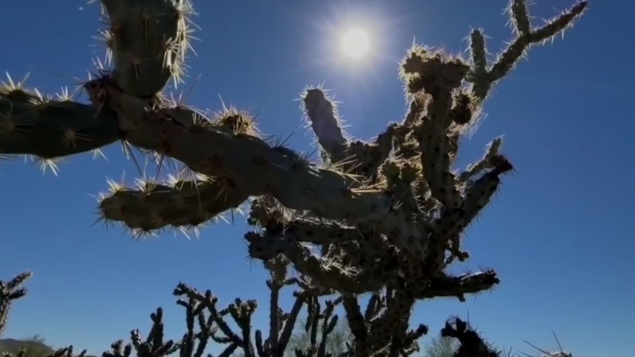 Ola de calor y radiación UV: la advertencia que no debes ignorar