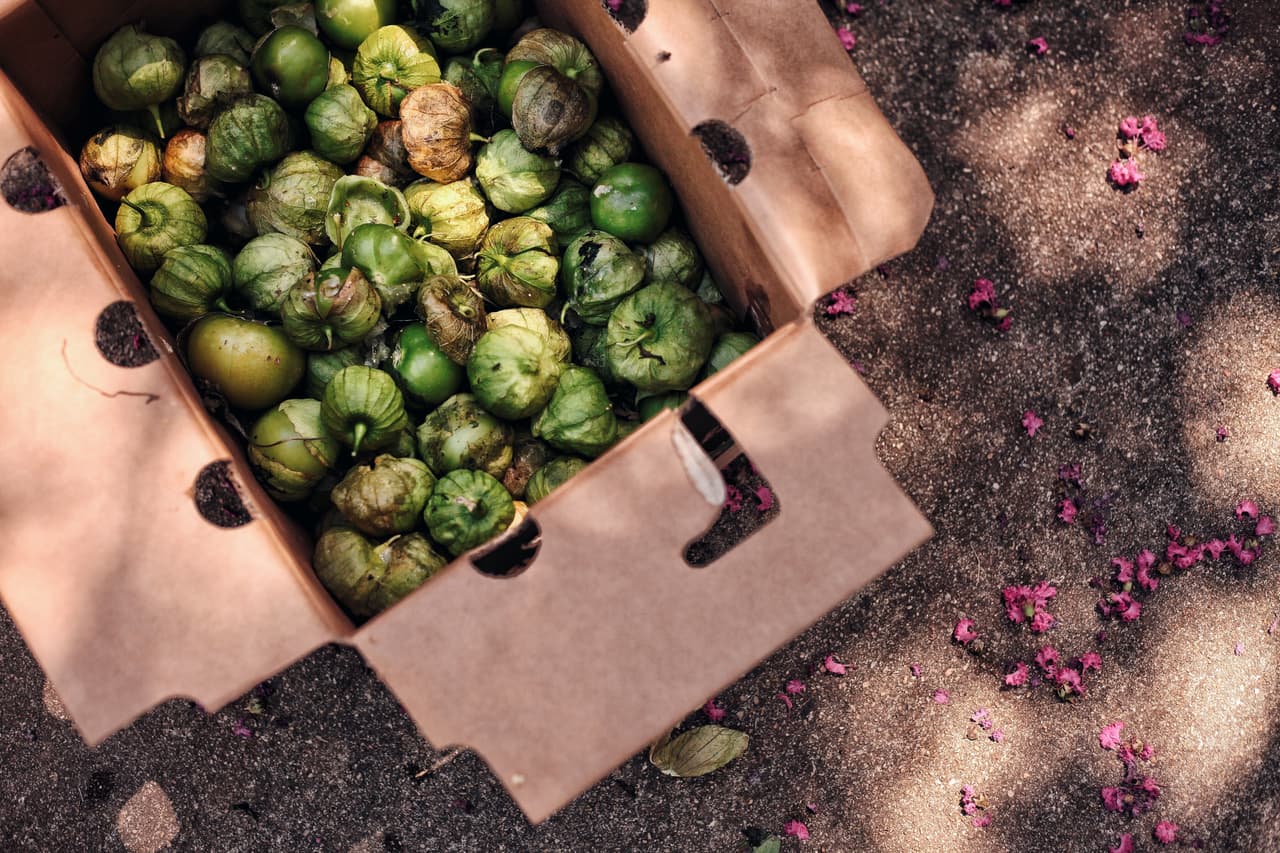 Una caja de tomatillos en un puesto de distribución de alimentos representa un modelo cultural apropiado para ayuda de emergencia. La Semilla ha entregado al menos 30,000 libras de alimentos saludables durante la pandemia en los vecindarios latinos, cajas llenas de productos de temporada como calabaza, tomates, frutas tropicales y bandejas de comida preparadas por chefs. La comida proviene de alianzas con bancos de alimentos locales que ya existían, empresas de catering y redes agrícolas.