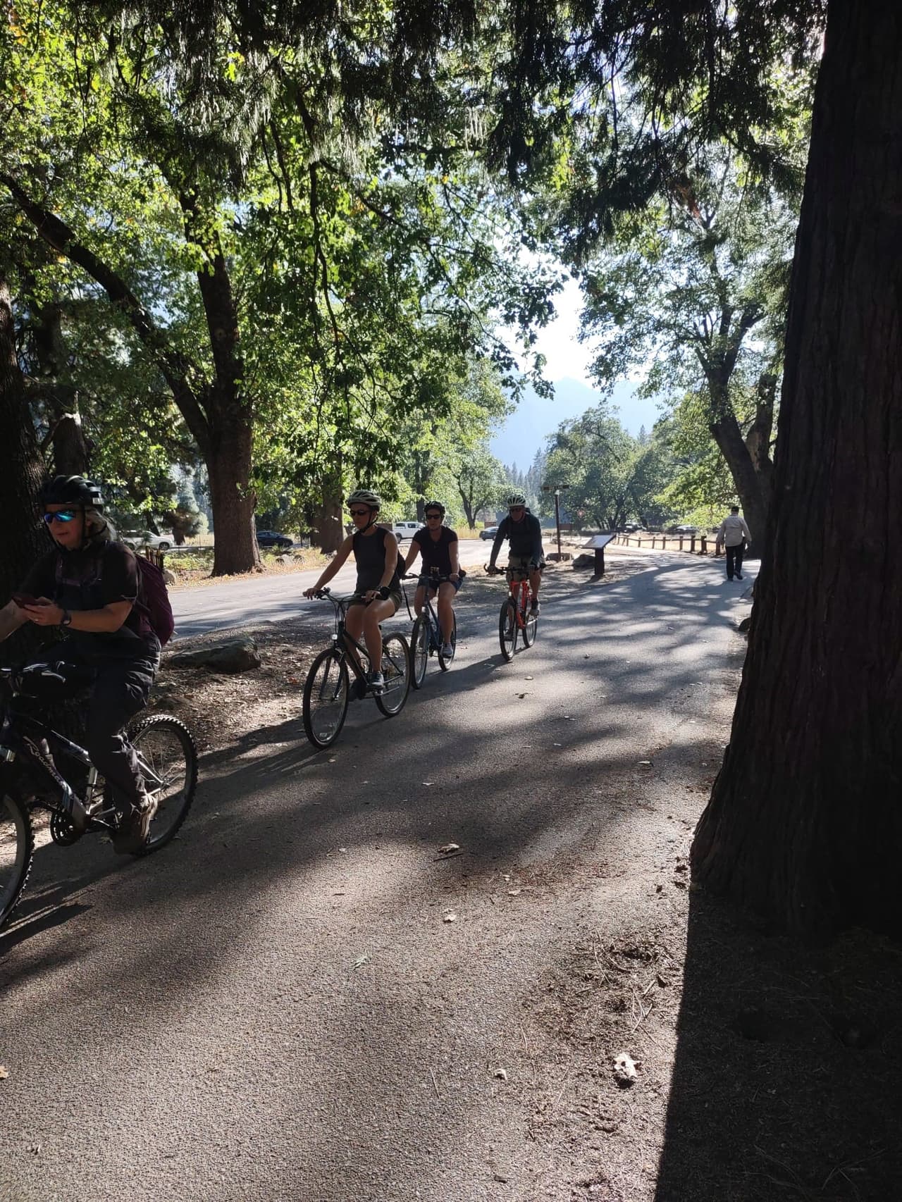 Con más de 12 millas de senderos pavimentados, en su mayoría planos, montar en bicicleta es una forma fácil y divertida de conocer el Valle de Yosemite