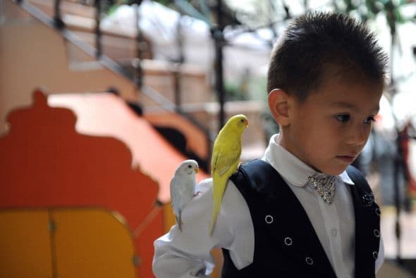 La preparación en este club le ha permitido al niño hacer trucos considerados como muy difíciles como levitar mesas y romper copas.