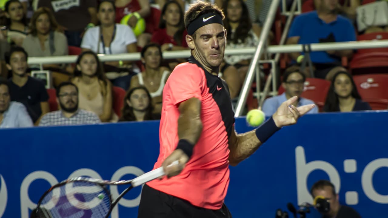 Juan Martín del Potro se impone en tensa batalla a David Ferrer en el Abierto Mexicano