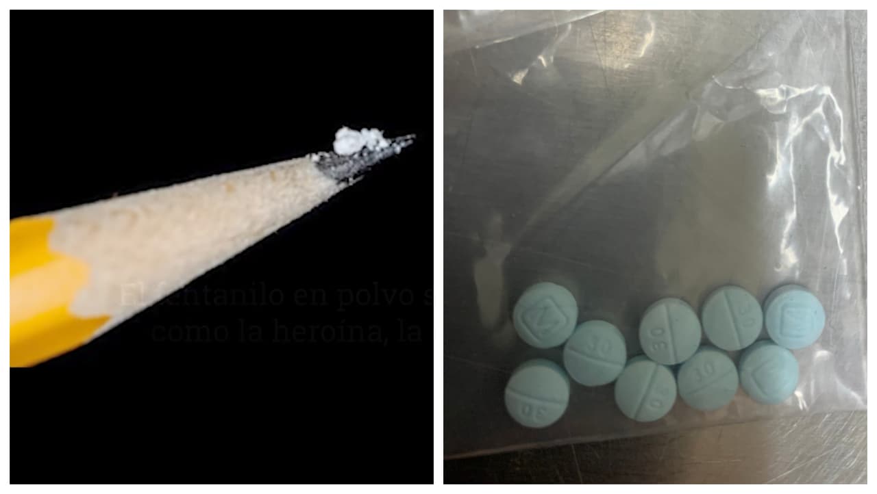 Confirman que un cuarto estudiante de Hays CISD ha muerto por sobredosis de fentanilo