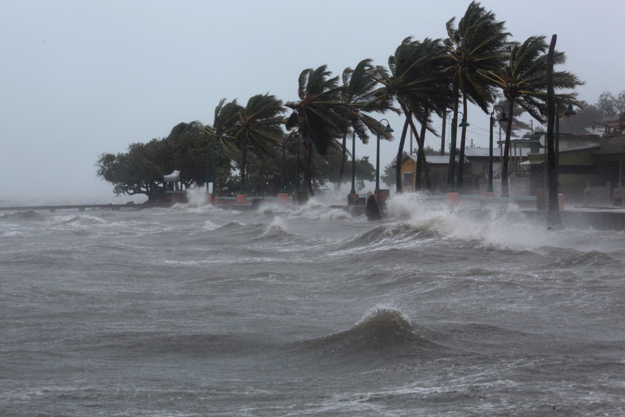 Palm trees buckle under winds and rain as Hurricane Irma slammed across islands in the northern Caribbean on Wednesday, in Fajardo, Puerto Rico September 6, 2017. REUTERS/Alvin Baez