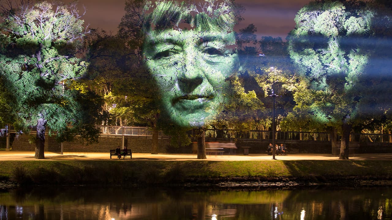 Arboles “cobran vida” con proyecciones 3D en homenaje a cinco residentes de Houston