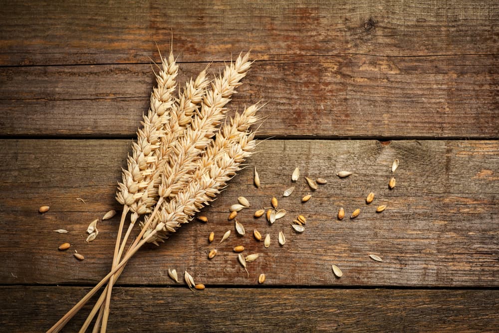 También unas espigas doradas, que sirven como ofrenda y símbolo de buena cosecha, de conseguir lo que quieres en la vida.