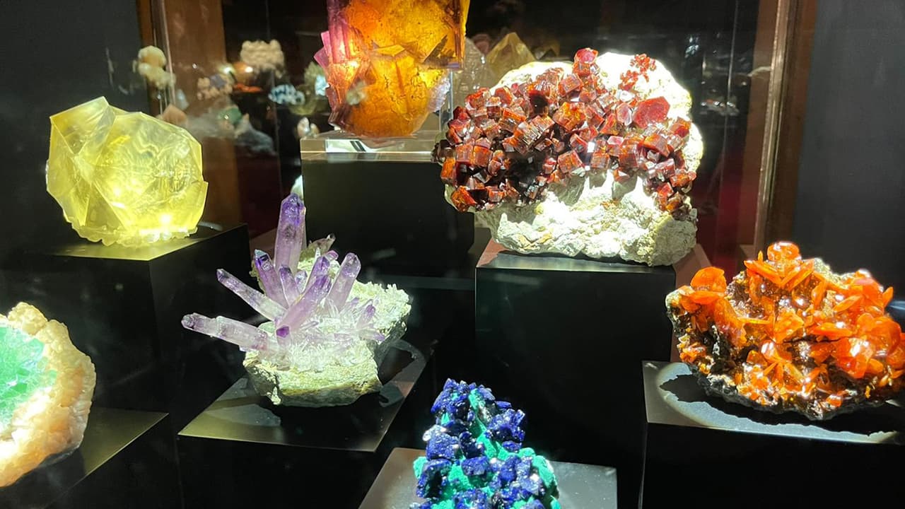 Cada año, casi medio millón de estudiantes asisten a 
<b><a href="https://www.hmns.org/exhibits/permanent-exhibitions/gems-and-minerals/" target="_blank">excursiones en el museo. </a></b>