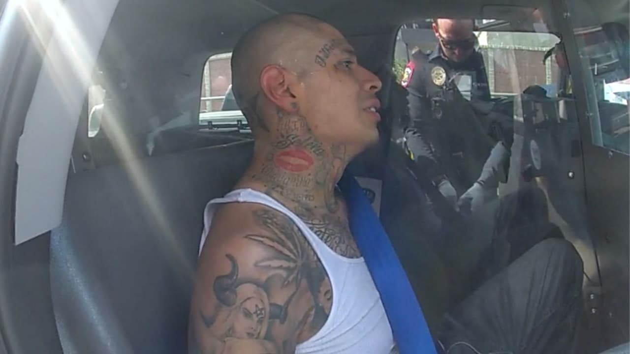 En este año, Néstor Hernández había sido arrestado dos veces una por la Policía de Dallas y otra por la 
<a href="https://www.univision.com/local/dallas-kuvn/nestor-hernandez-tiroteo-hospital-metodista-dallas-arrestos-previos">Policía de Carrollton</a>, ambas por violar su libertad condicional que tenía por cargos previos de robo.