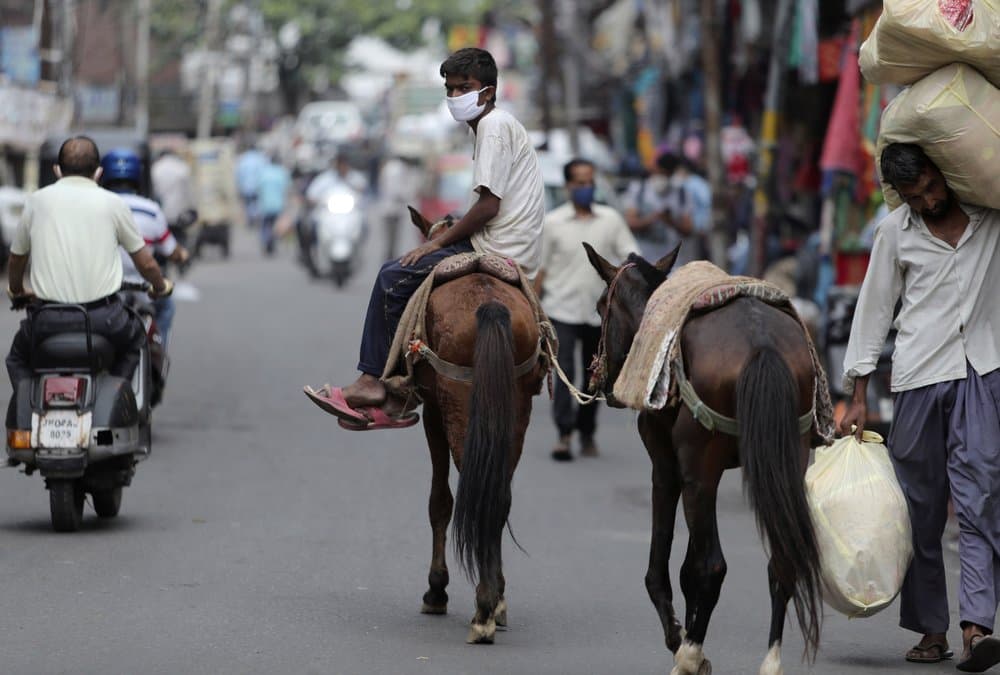 Un trabajador indio usa una máscara mientras monta un caballo en Jammu, India, el 21 de julio de 2020.
<b> Con un aumento en los casos de coronavirus en las últimas semanas, los <a href="https://www.univision.com/temas/gobierno">gobiernos</a> estatales en India han ordenado bloqueos específicos</b> en áreas de alto riesgo para ralentizar la propagación de infecciones.