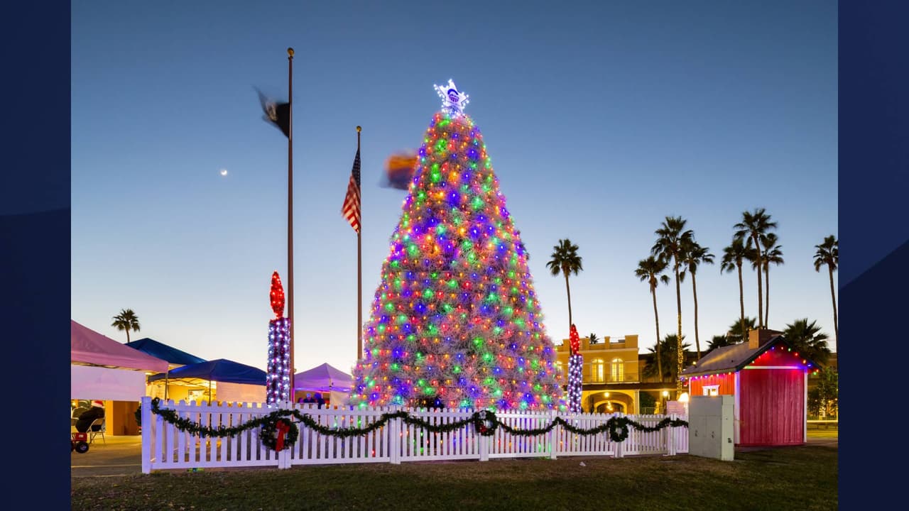 El árbol está envuelto en más de 1,200 luces LED. El árbol se iluminará el 4 de diciembre y estará en exhibición hasta el 2 de enero del 2022. 
<br>