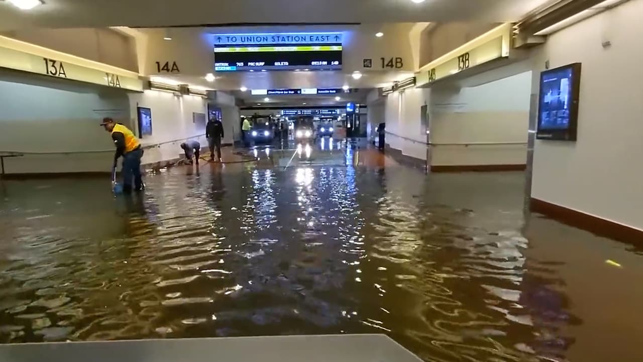 En Los Ángeles, el 
<a href="https://www.univision.com/local/los-angeles-kmex/lluvias-inundaciones-transporte-metro-los-angeles">servicio de la línea Dorada de METRO</a> fue interrumpido hoy debido a un árbol, derribado por el viento y la lluvia durante la noche, aterrizó en líneas eléctricas aéreas que alimentan los trenes.
<br>