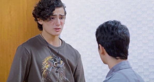 Antes de convertirse en pareja, y conseguir su propia serie, los 
<b>Aristemo</b> tuvieron un largo camino de descubrimiento, 
<b>incomprensión</b> y hasta 
<b>discriminación</b> entre ellos y su círculo más cercano en la telenovela 
<b>Mi Marido Tiene más Familia.</b>